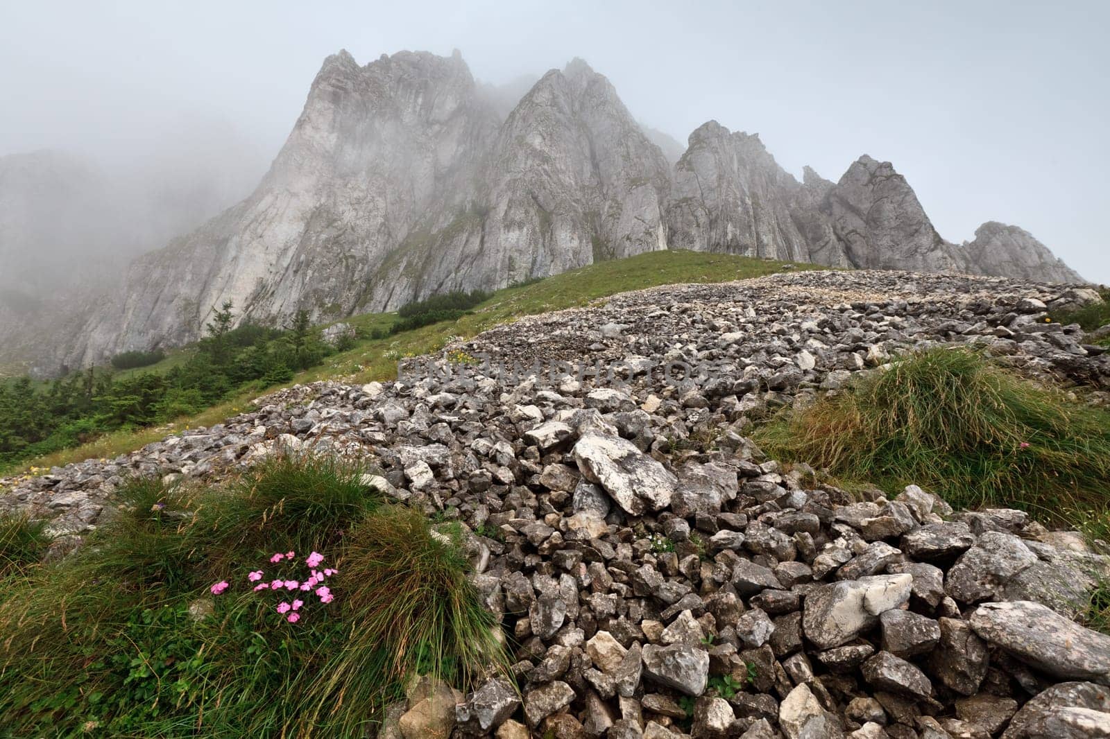 a mountain slope and a background fog, Piatra Craiului mountains, Romania