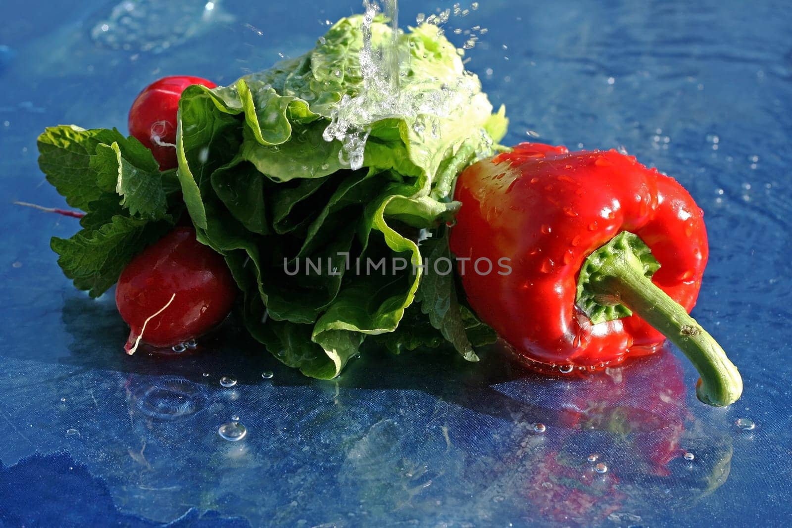 Crisp fresh vegetables and salad