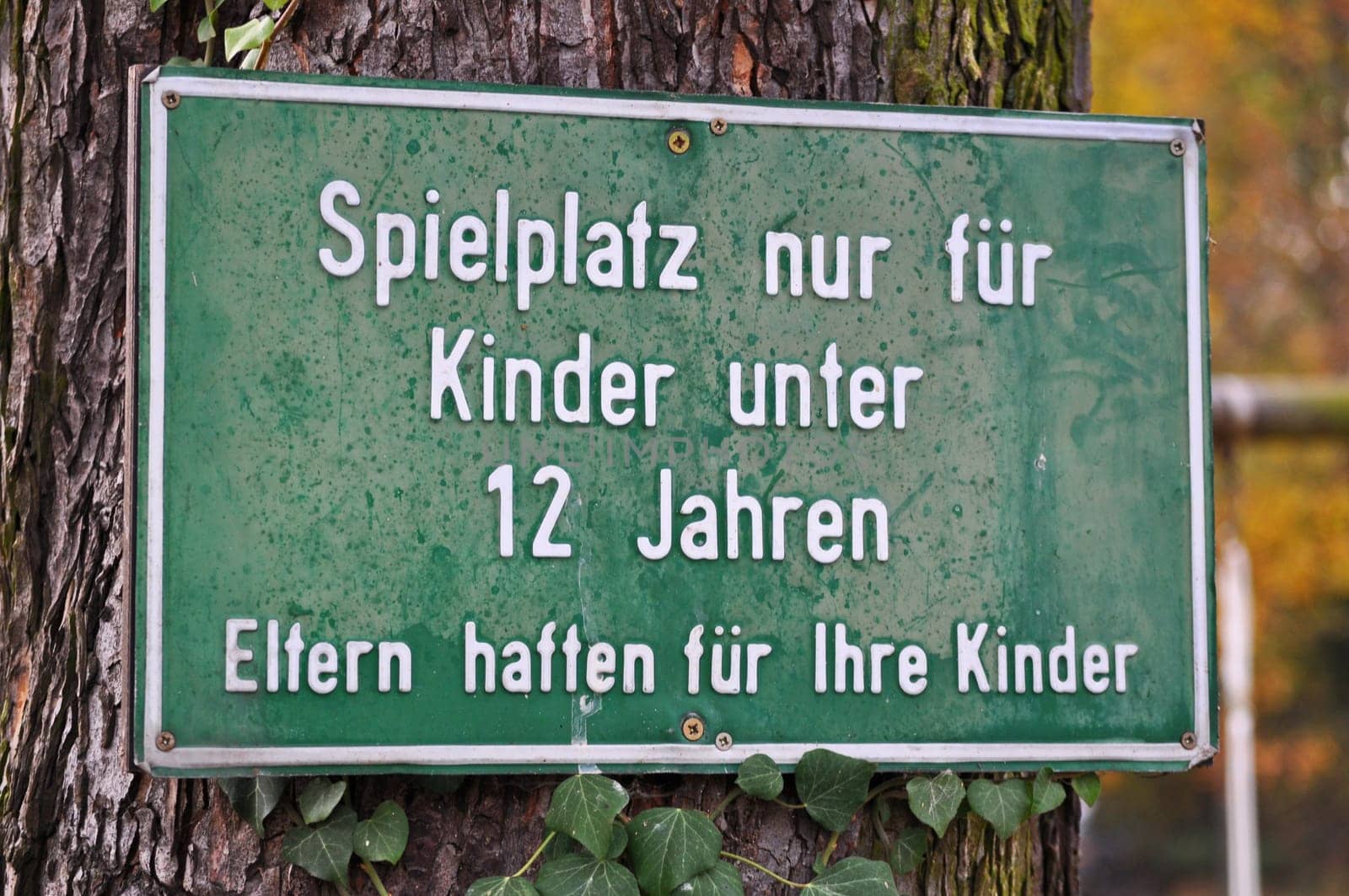 (playground or playground fun) without (fitness or football or wine or background or basketball)