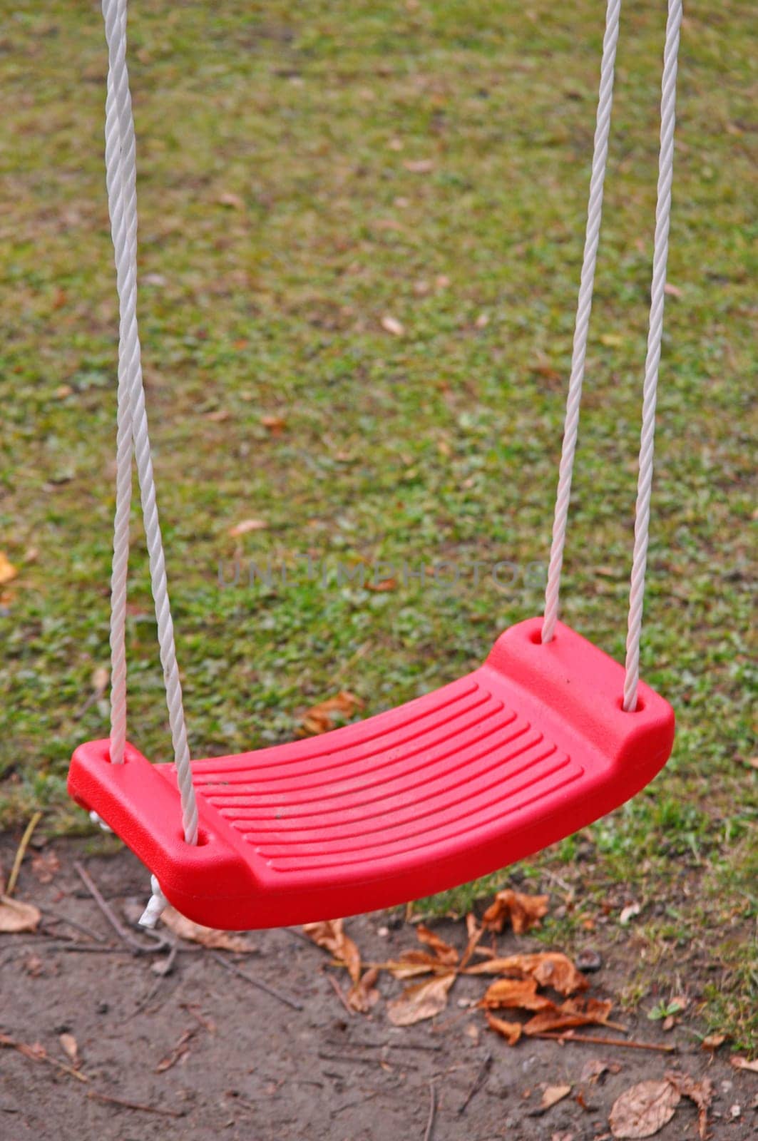 Swing