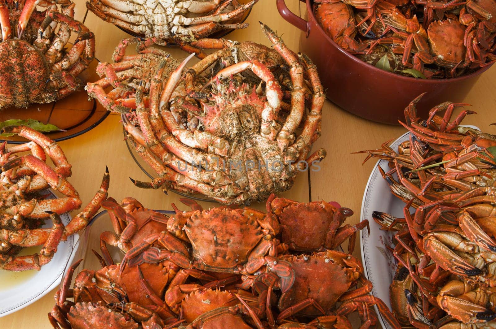 Many plates of seafood on the table