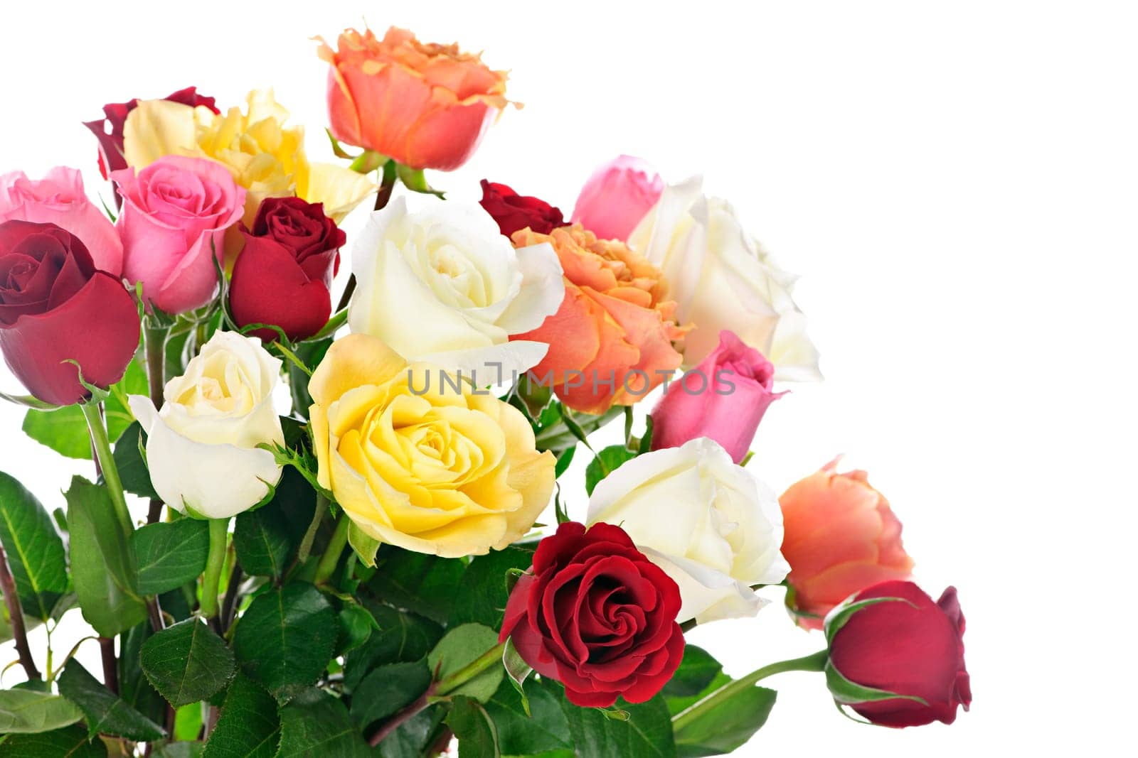 Bouquet of assorted multicolored  roses isolated on white background