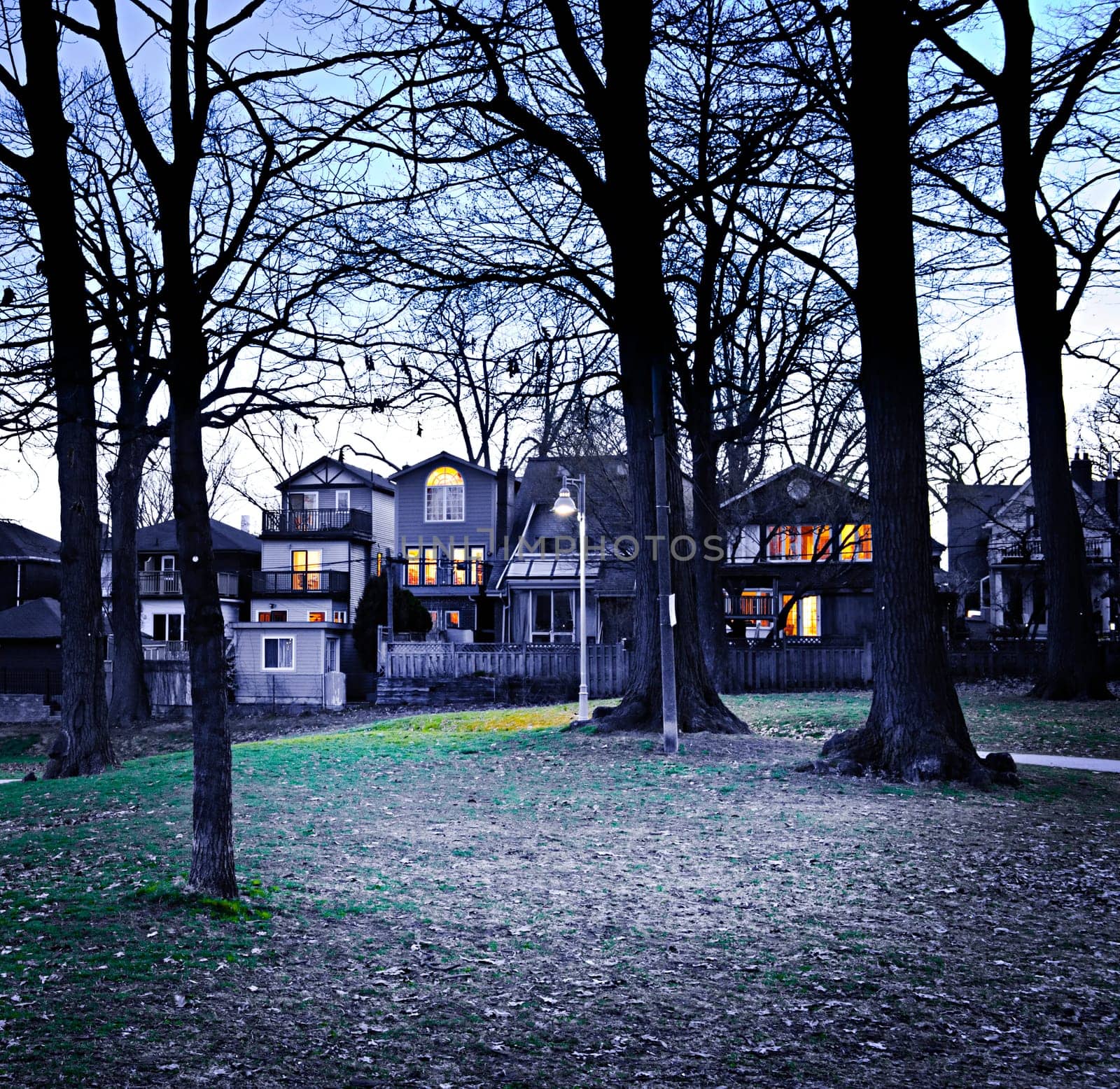 City park at dusk near residential houses