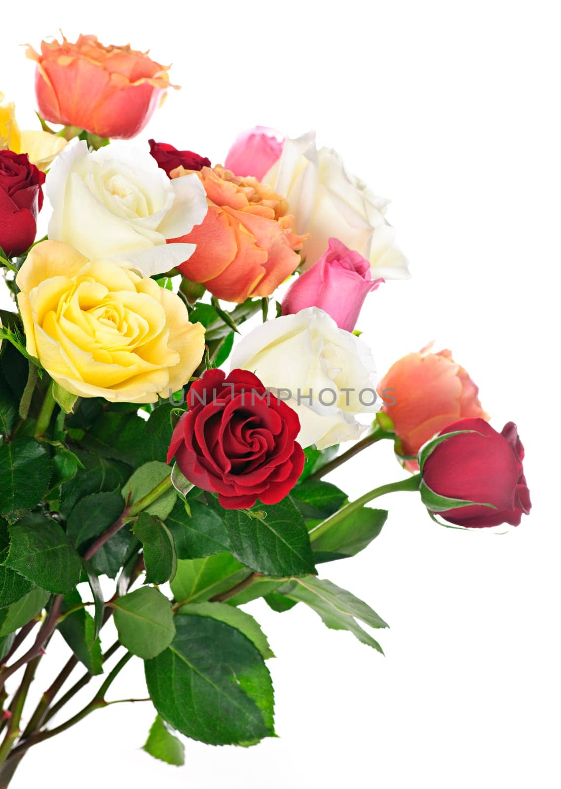 Bouquet of assorted multicolored  roses isolated on white background