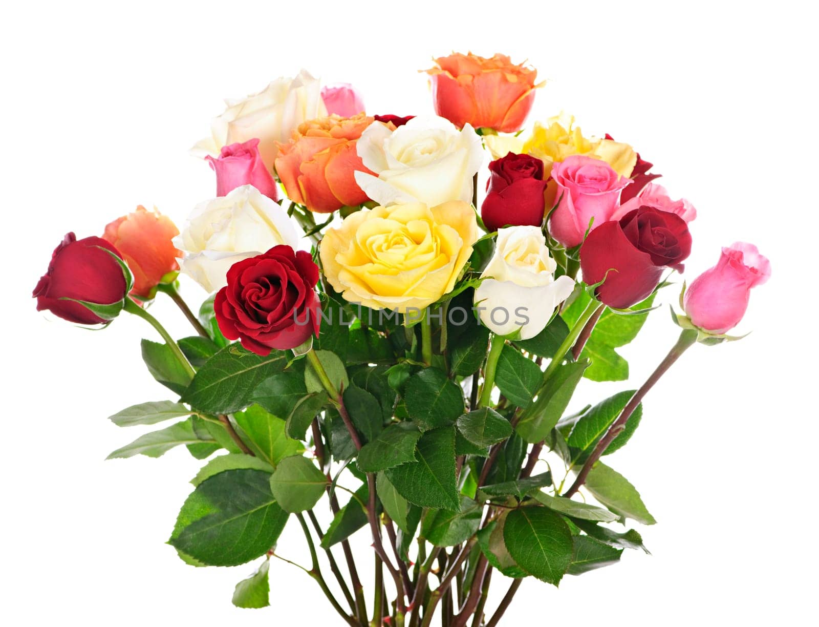 Bouquet of assorted multicolored  roses isolated on white background