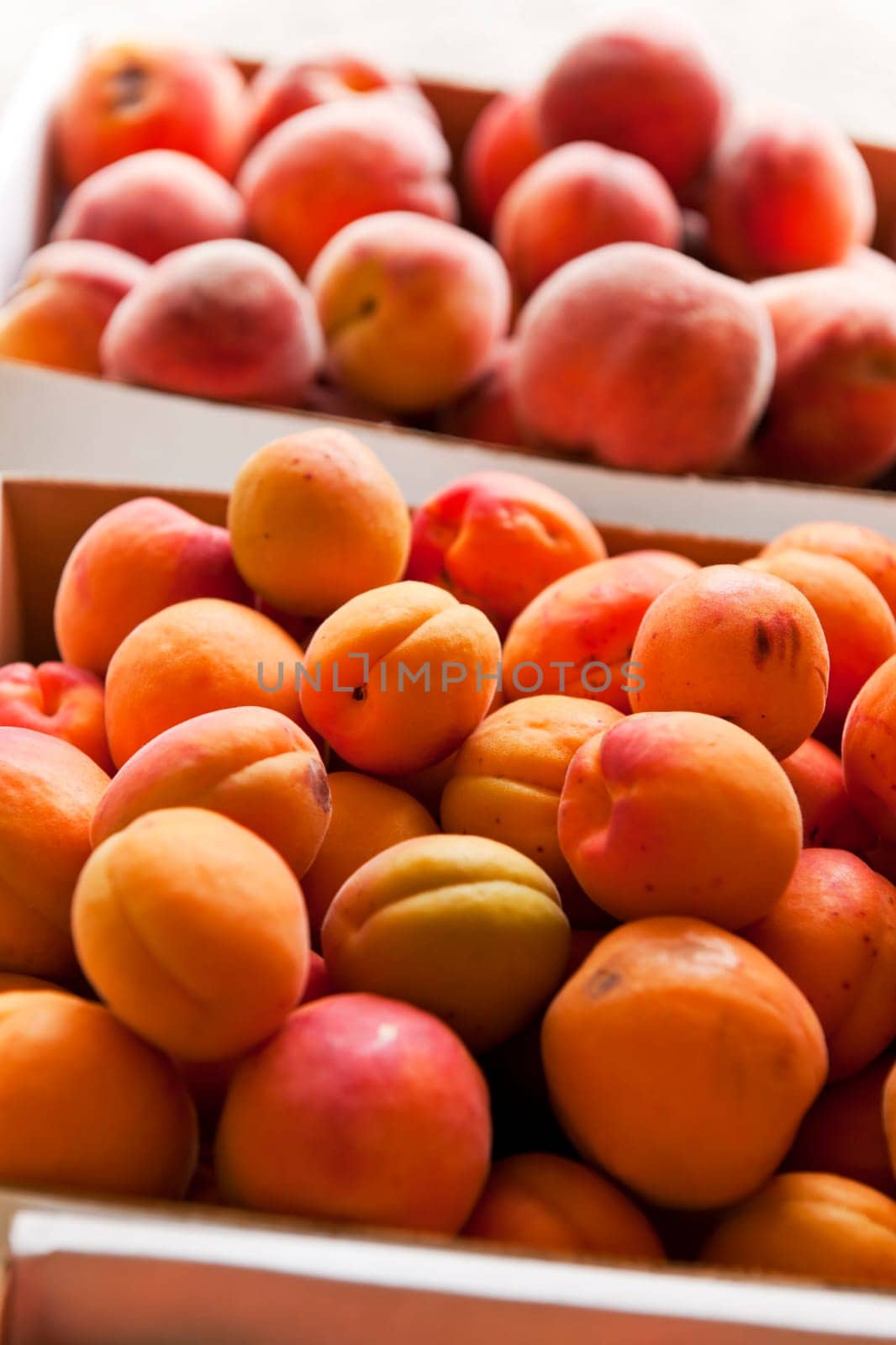 Fresh apricots and peaches fruits for sale at a farmers market