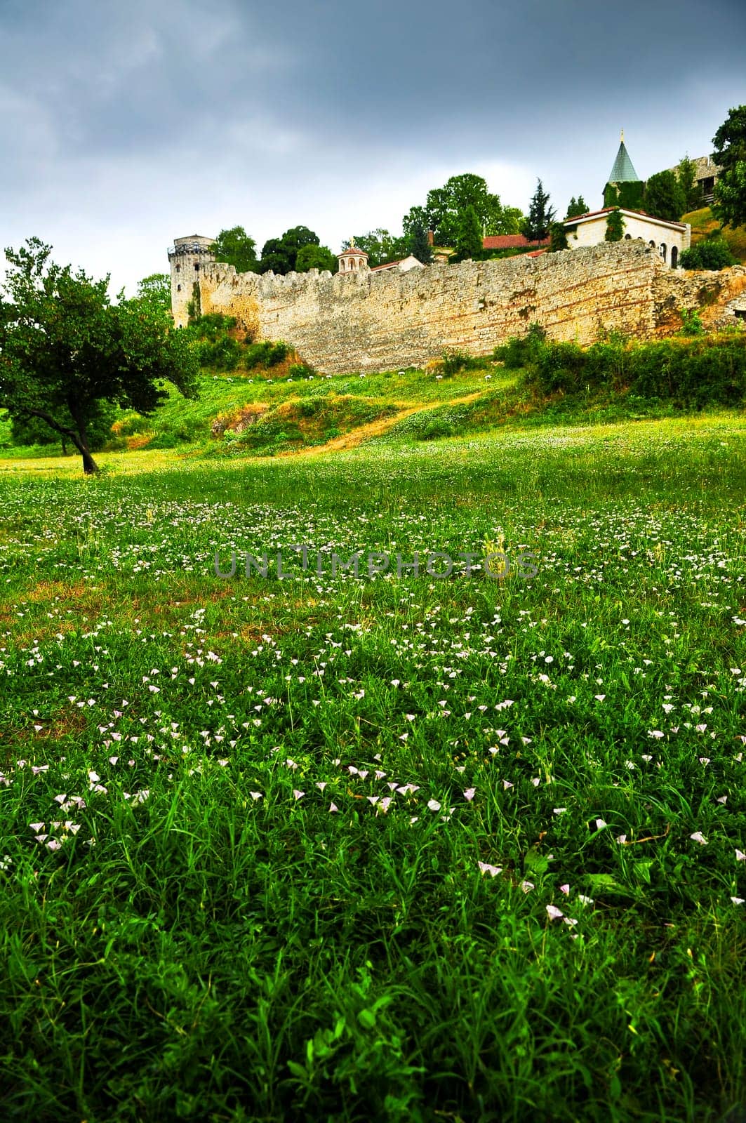 Kalemegdan fortress in Belgrade with field of wildflowers