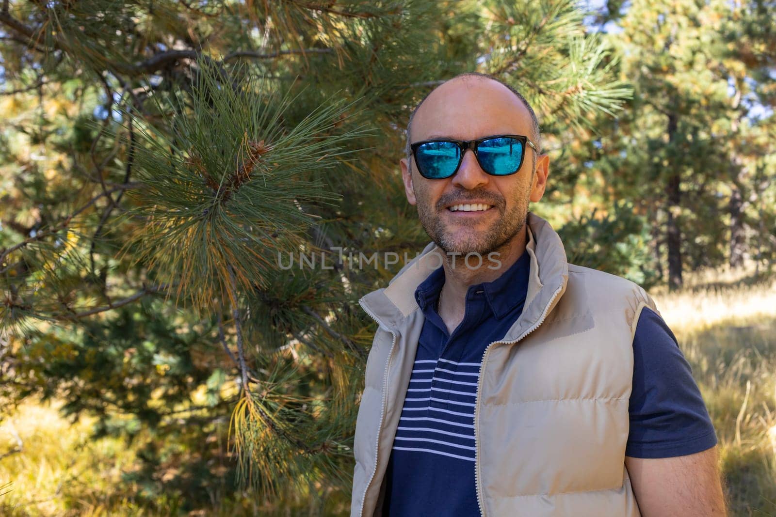 Portrait Smiling 40 yo Man in Sunglasses, Fir Tree, Forest On Background. Nature in Fall Leaves Season. Horizontal Plane. Active Lifestyle. Male Trekking or Hiking. Copy Space. High quality photo