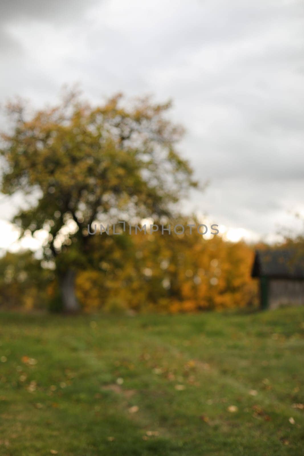 Autumn banner natural blurred background. farmland, meadows and trees in autumn with golden brown leaves on the trees. scenic image of picturesque rural nature in countryside in autumn.