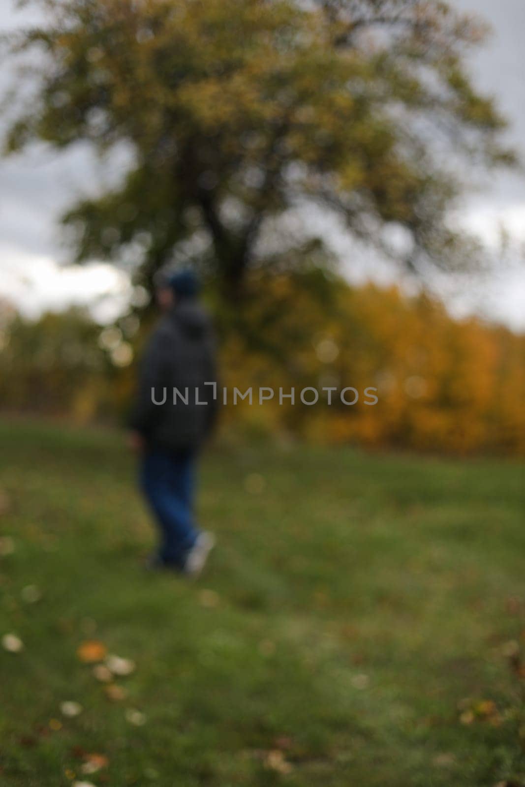 Autumn banner natural blurred background. farmland, meadows and trees in autumn with golden brown leaves on the trees. scenic image of picturesque rural nature in countryside in autumn.