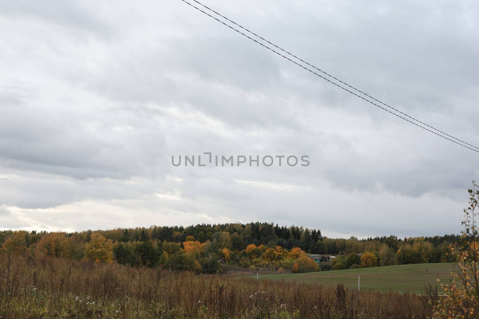 farmland, meadows and trees in autumn with golden brown leaves on the trees. scenic image of picturesque rural nature in countryside in autumn.