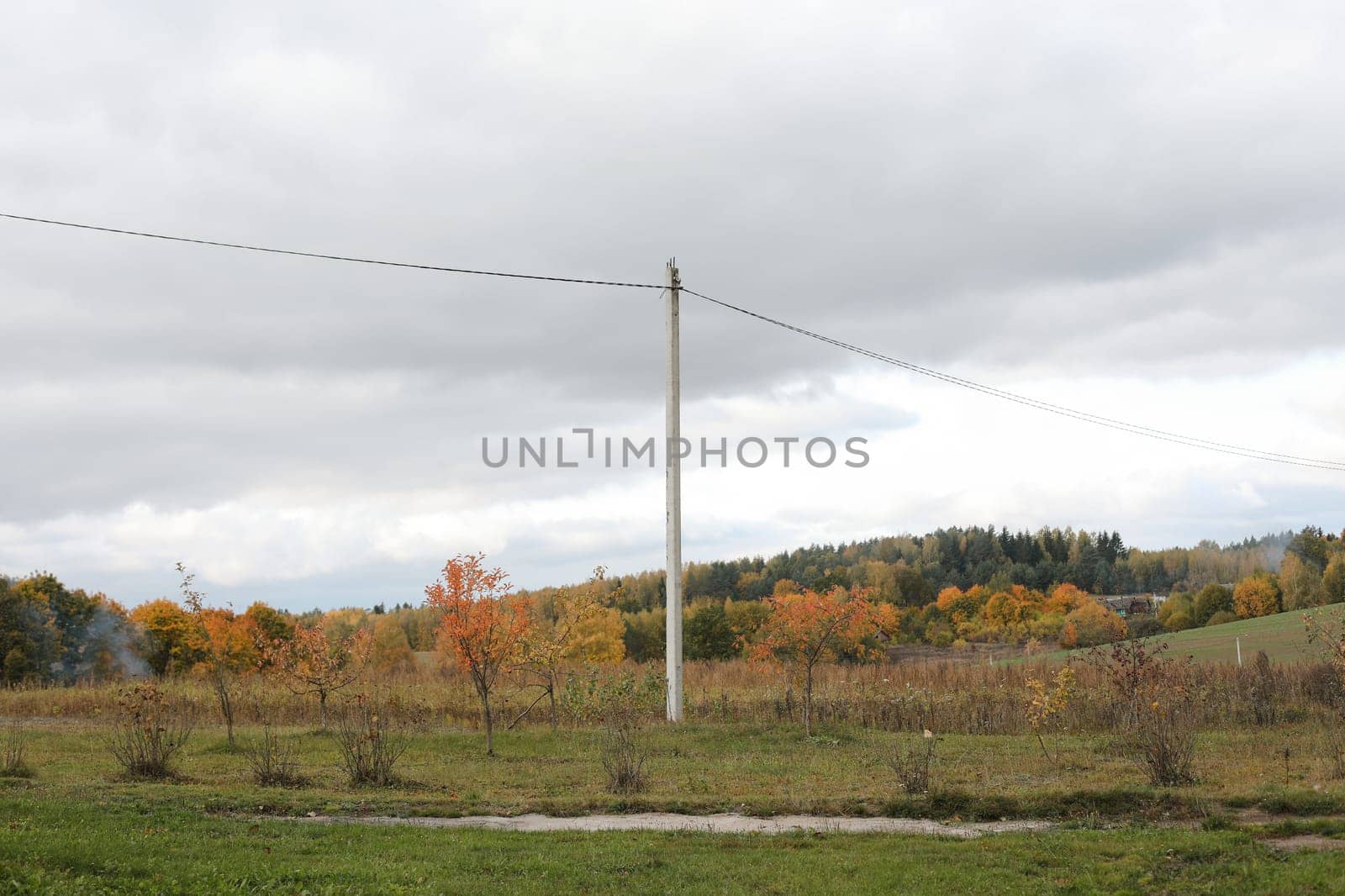 farmland, meadows and trees in autumn with golden brown leaves on the trees. scenic image of picturesque rural nature in countryside in autumn by paralisart