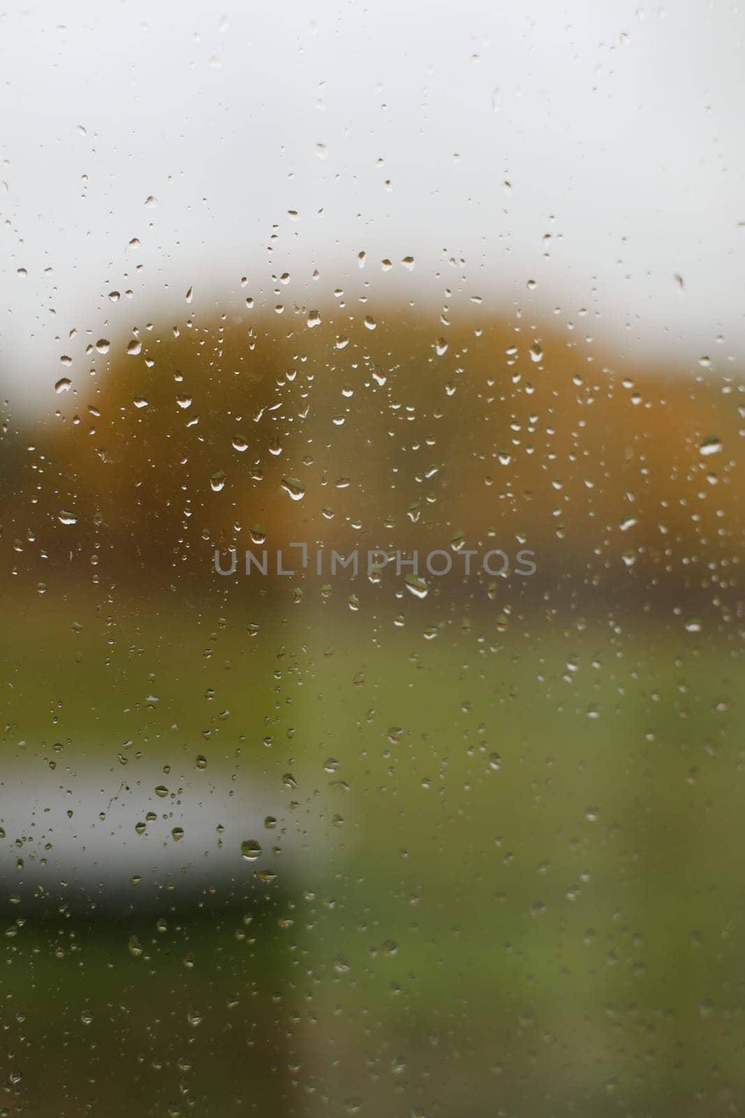 Water drops on glass texture abstract autumn nature background,Selective focus. Natural pattern of rain drops on window glass surface