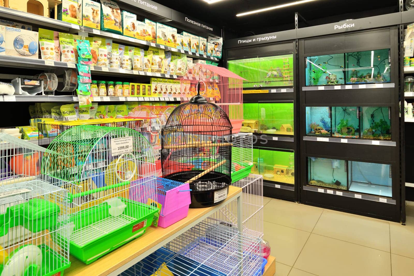 Moscow, Russia - Oct 19. 2023. Cages for birds and animals in Four paws pet store at Zelenograd by olgavolodina