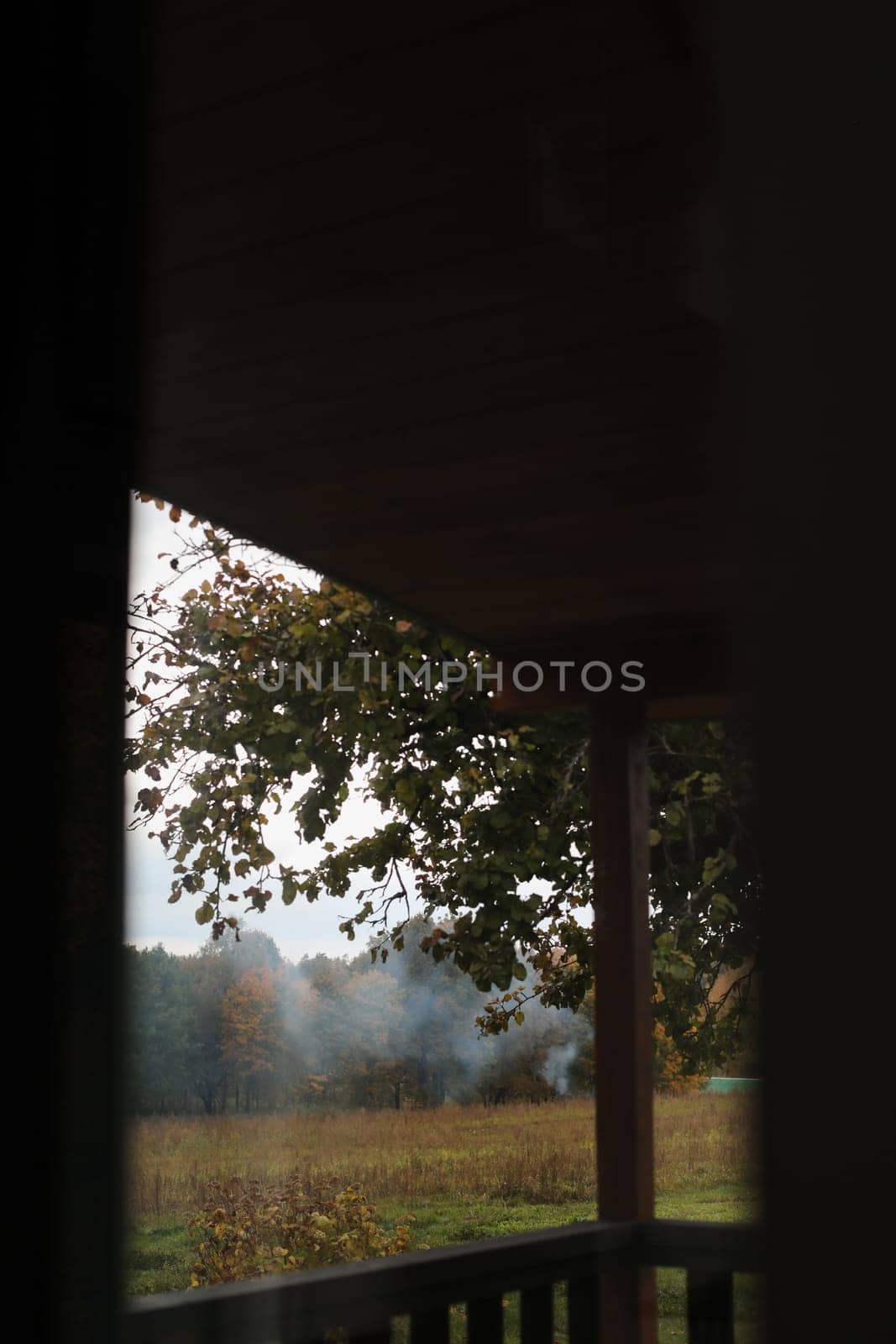 farmland, meadows and trees in autumn with golden brown leaves on the trees. scenic image of picturesque rural nature in countryside in autumn by paralisart