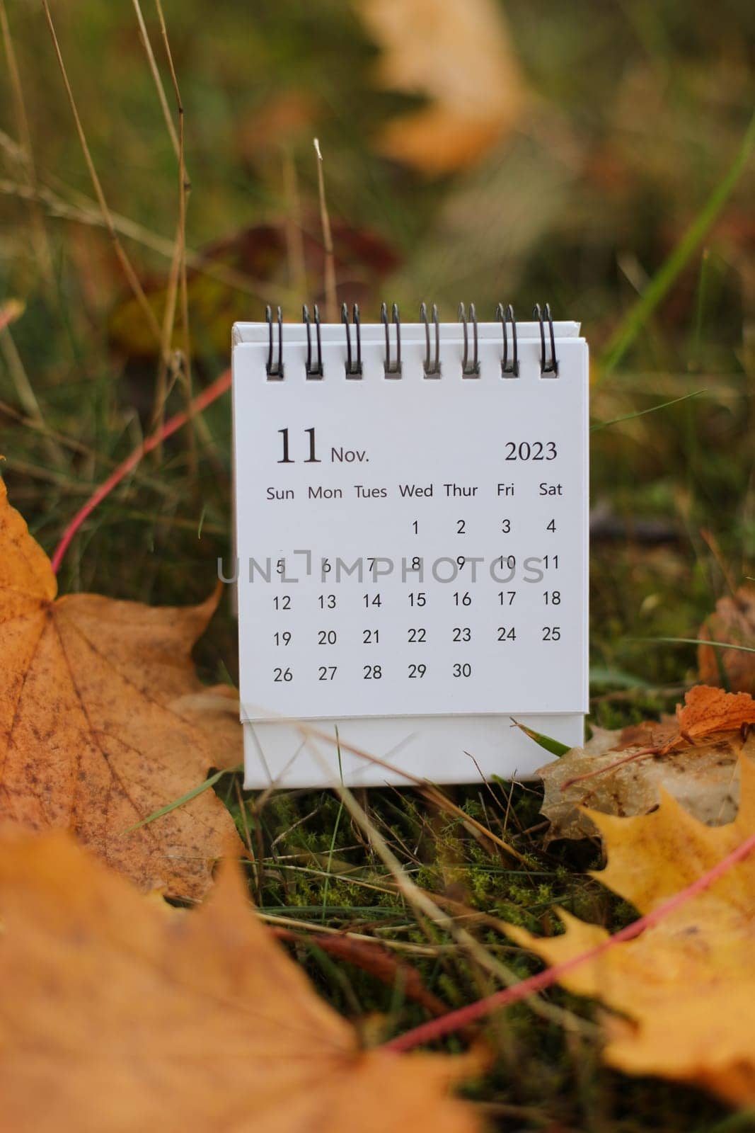 November 2023 calendar. Place for text. Maple leaves on the background. Fall vibes. Cozy autumn style