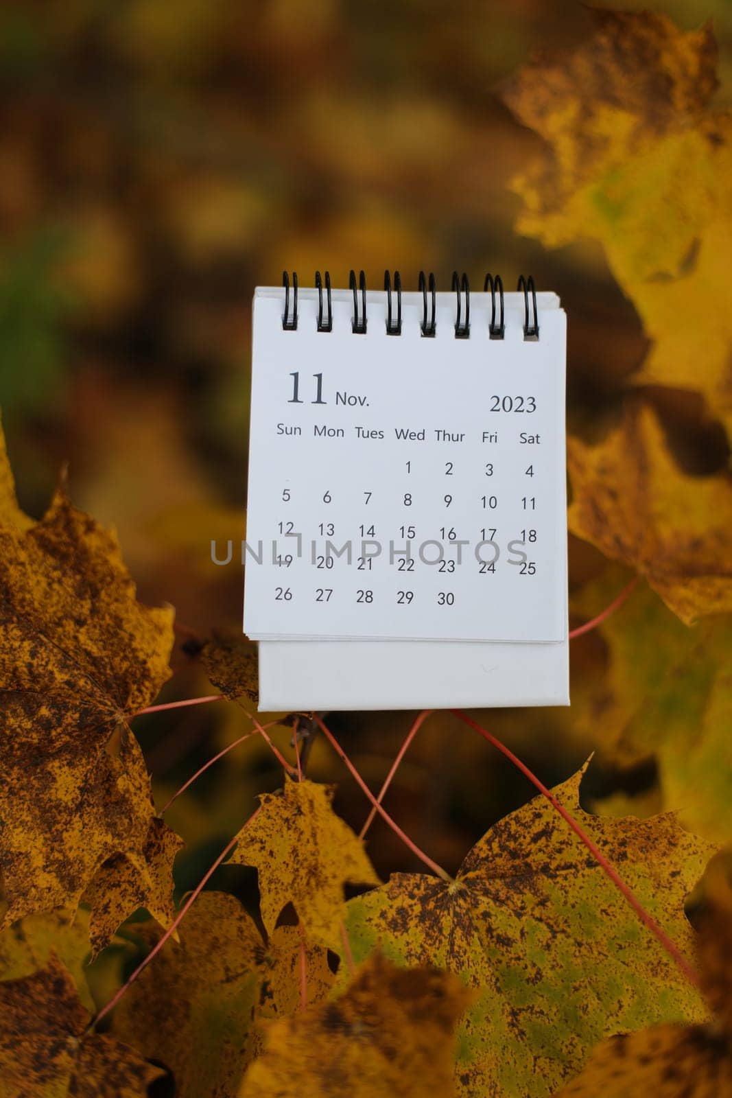 October calendar. Place for text. Maple leaves on the background. Fall vibes. Cozy autumn style