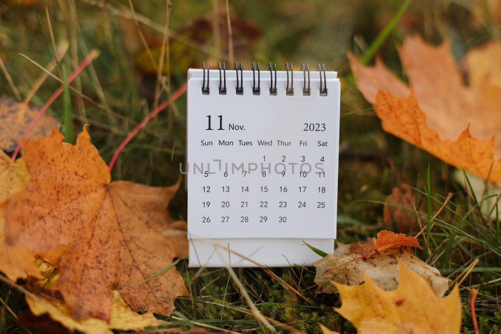 November 2023 calendar. Place for text. Maple leaves on the background. Fall vibes. Cozy autumn style