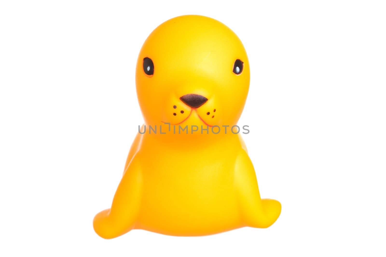 Plastic baby seal isolated on a over white background