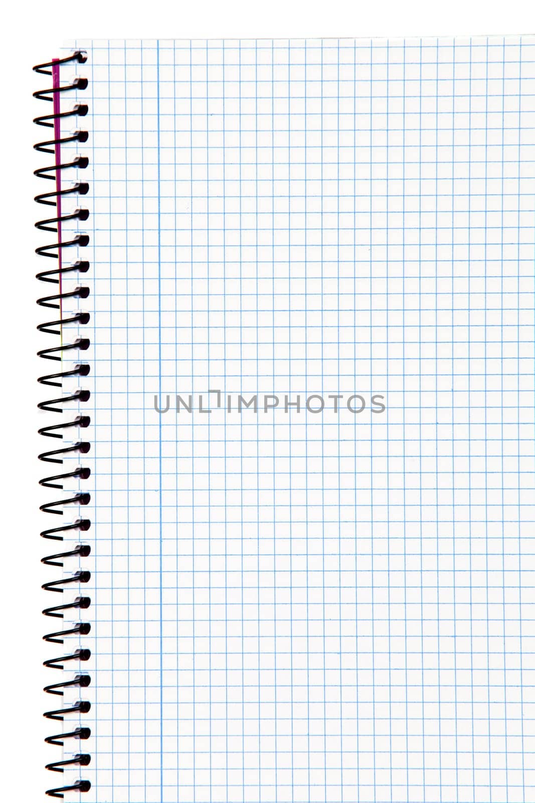 Empty notebook with squares. Material for the school