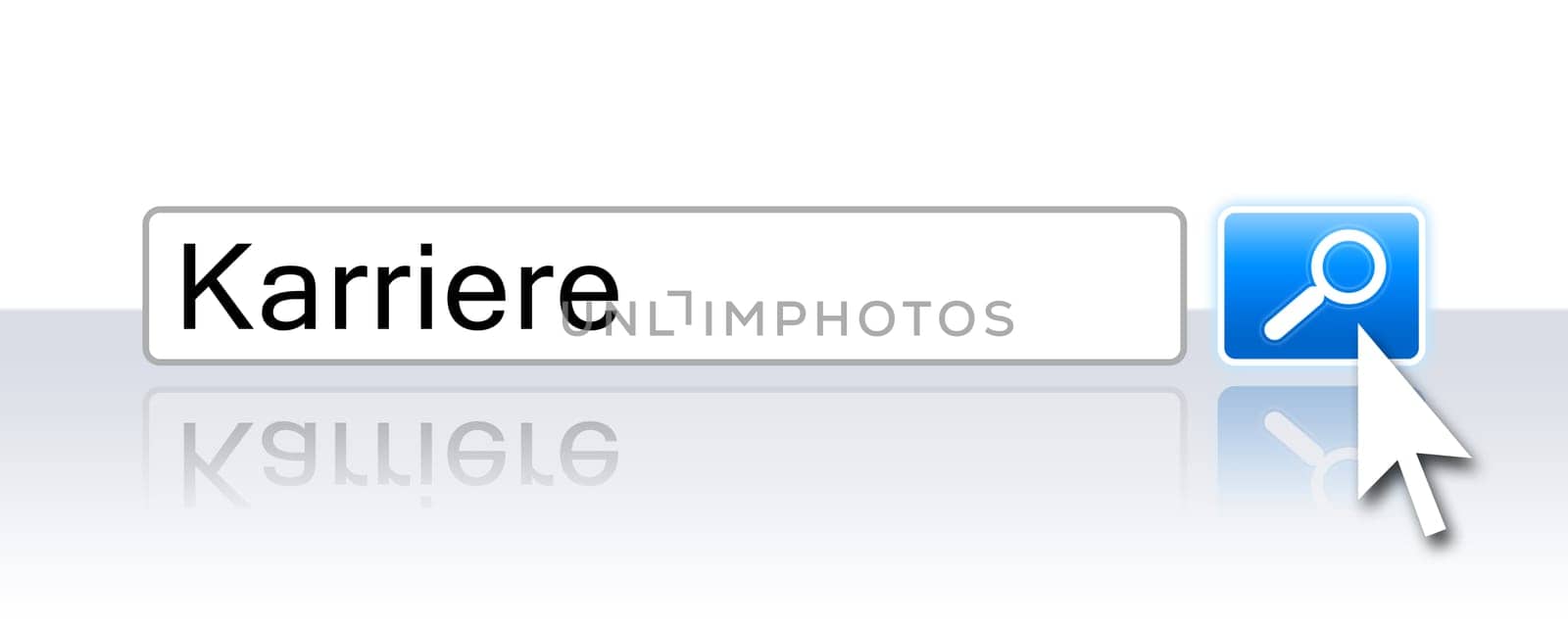 Internet Search Blau - Career