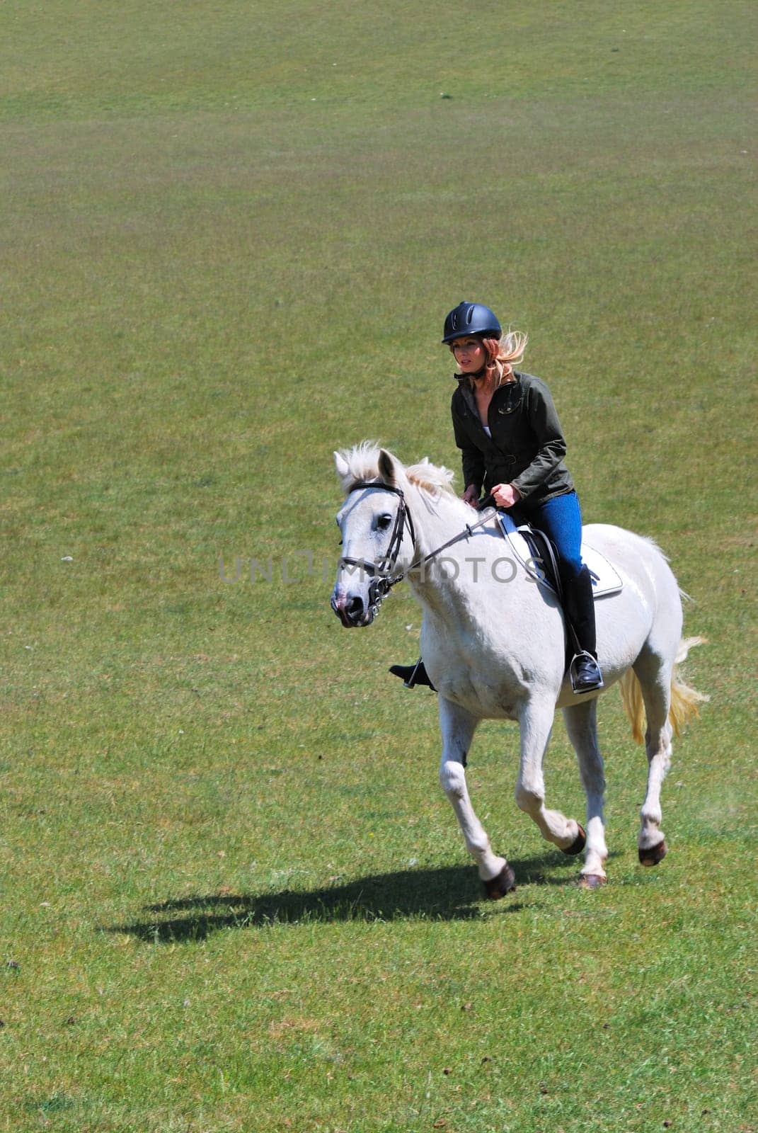 Girl riding horse in field