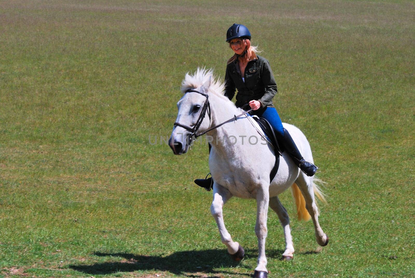 Pretty girl on white horse