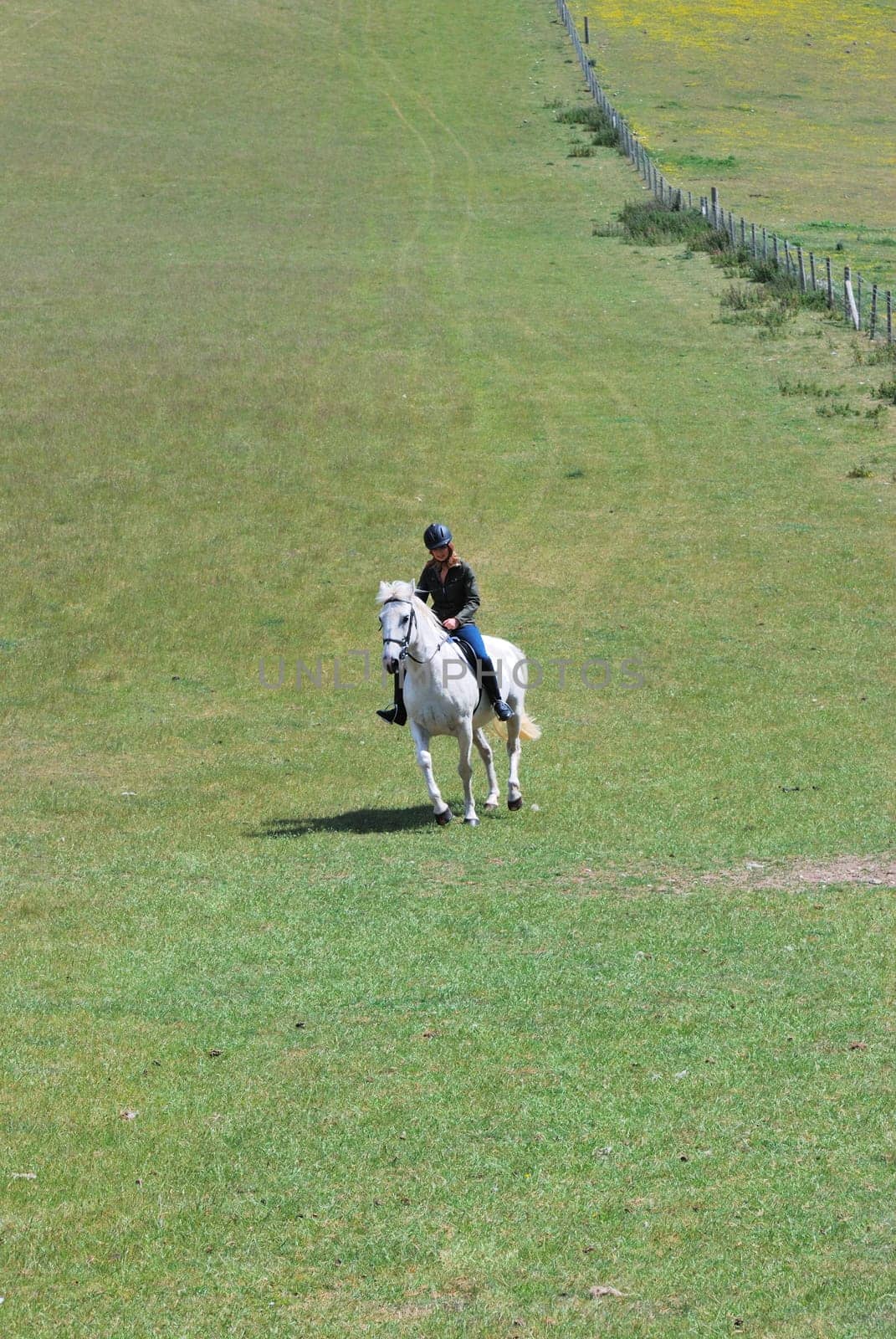 Girl riding horse in empty field
