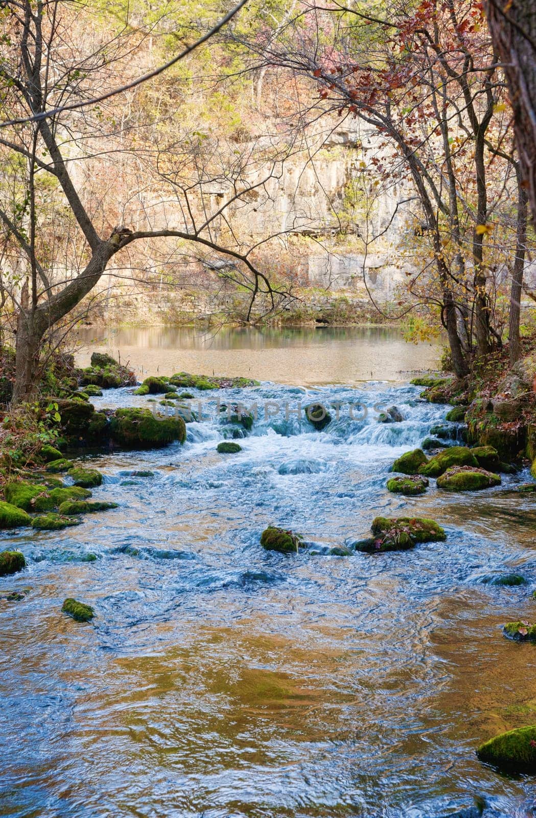 beautiful little stream in autumn in missouri