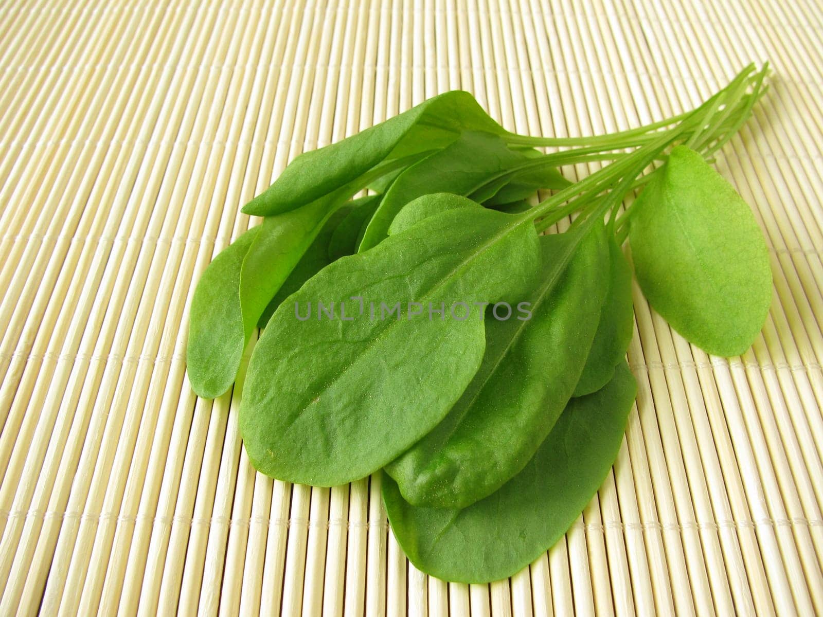 A bunch of sorrel