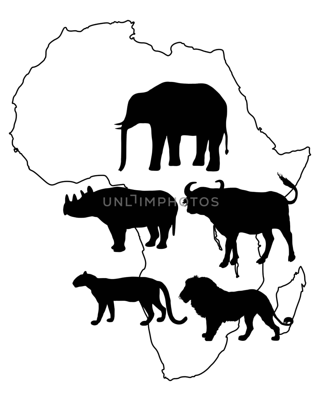 Africa "Big Five"""