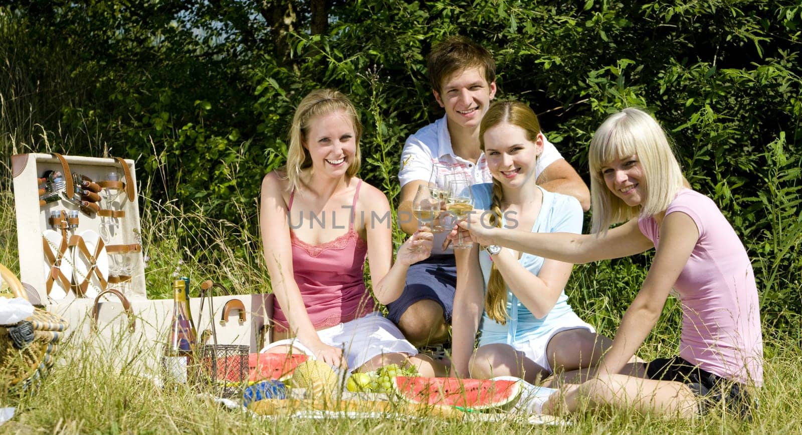 friends at a picnic