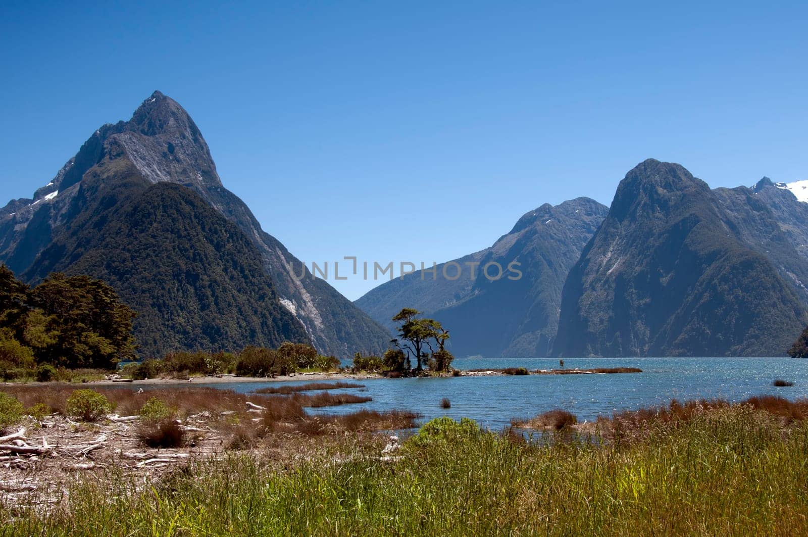 Mitre Peak on Milford Sound in New Zealand