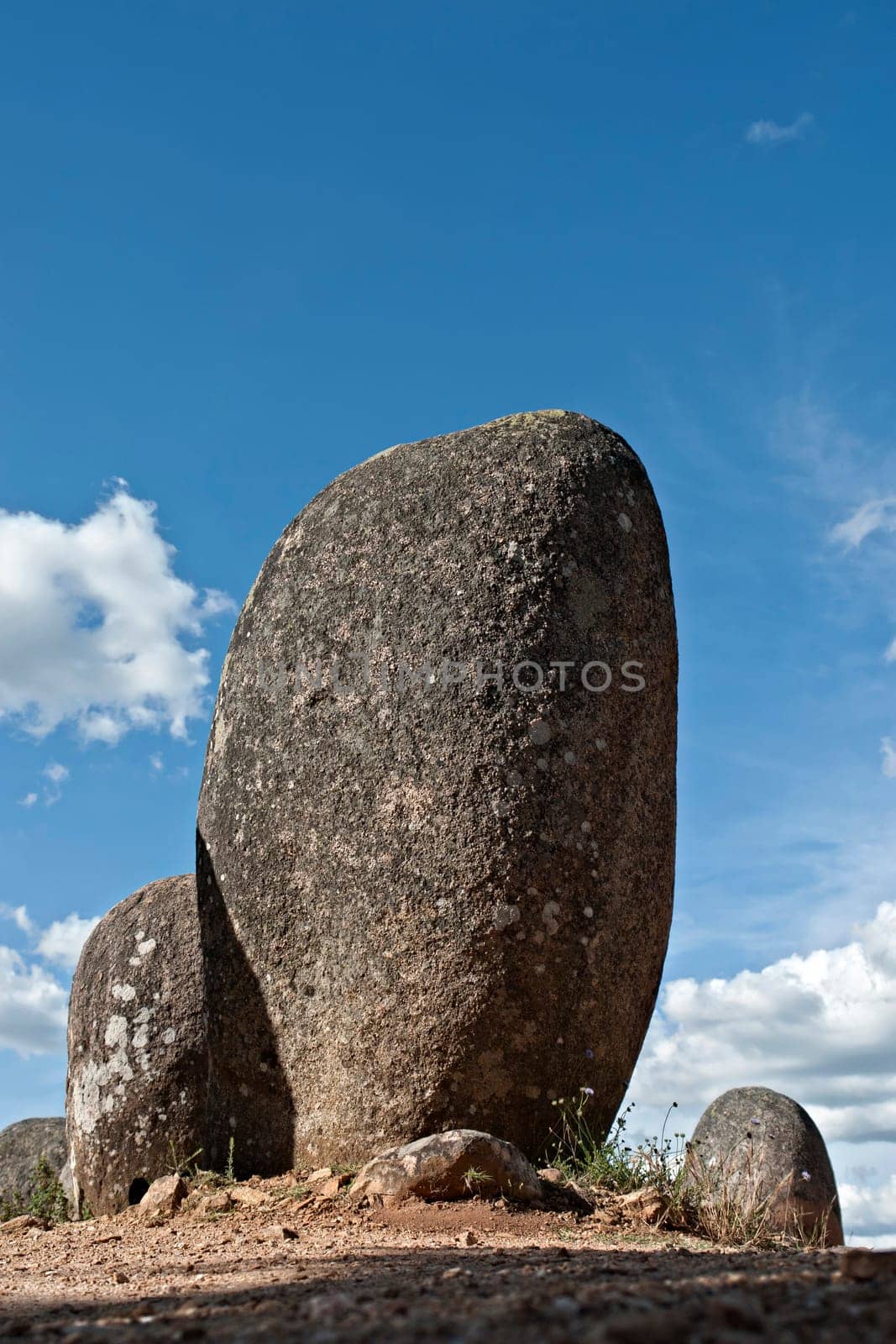 Menhirs in megalithic monument of Cromelech dos Almendres - Evora -Portugal