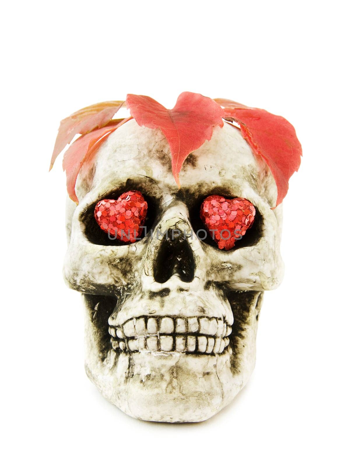 Celebrating Halloween with scary human skull decorated with red hearts and dead leaves. Isolated on white background.