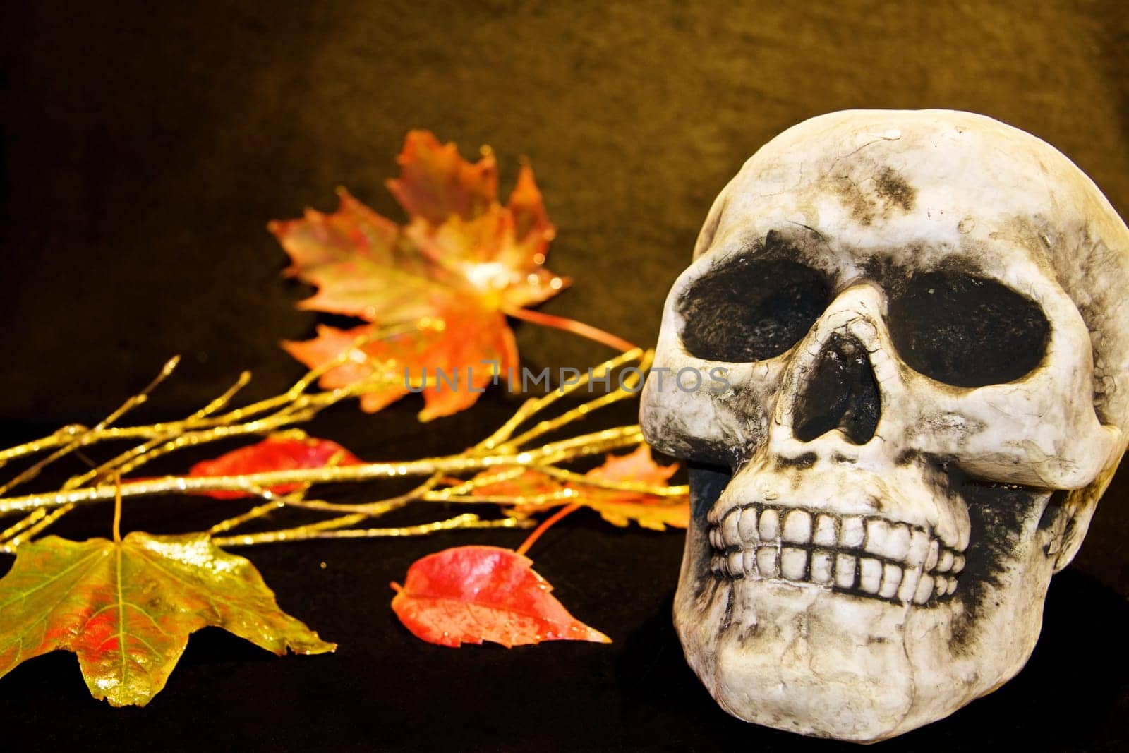 Celebrating Halloween with scary human skull and dead leaves.