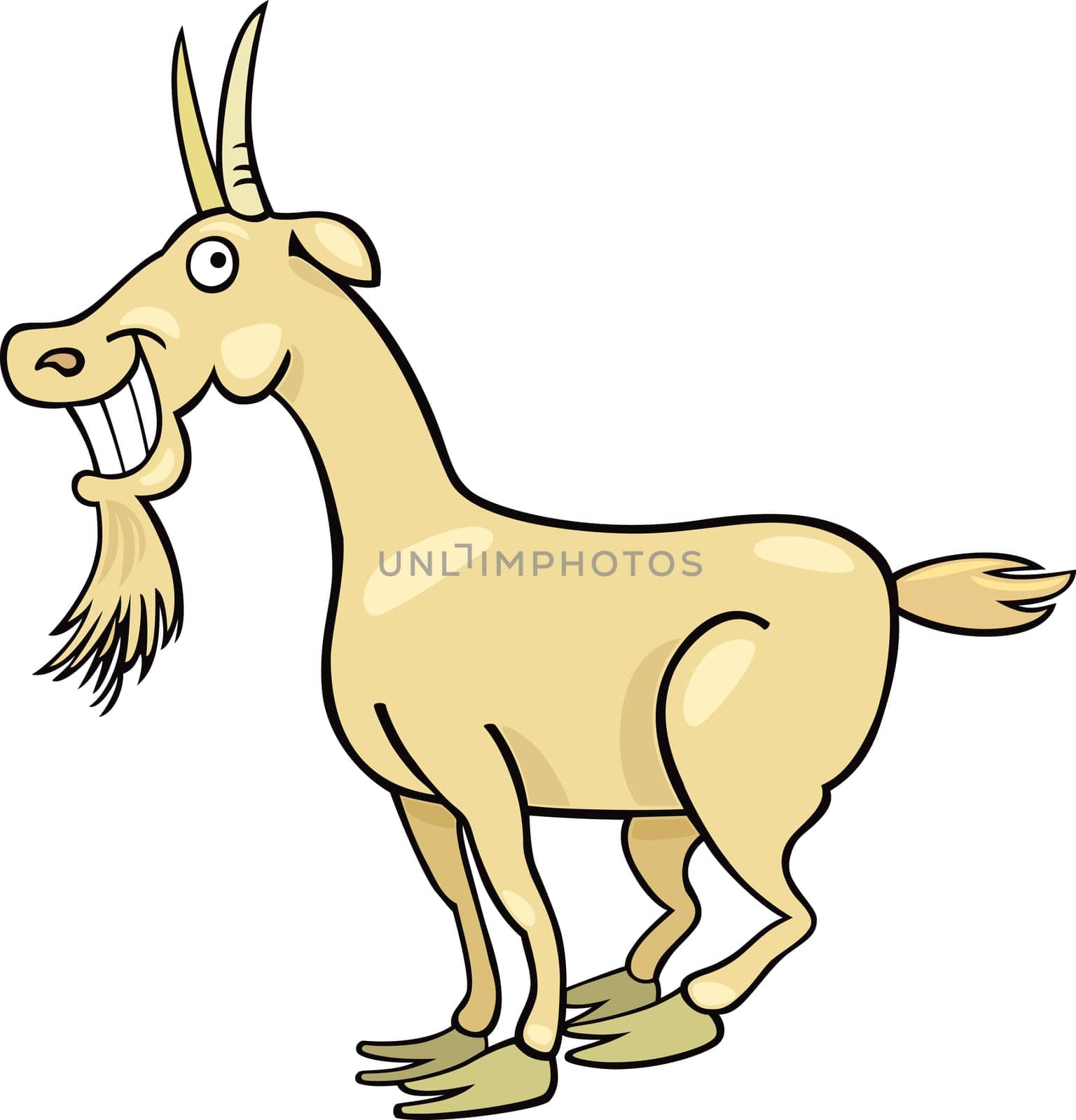 Cartoon illustration of farm goat