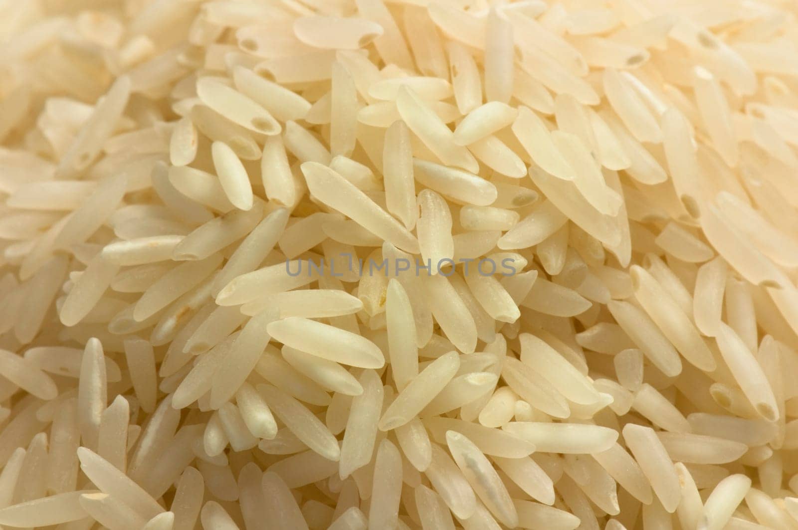 Close up of basmati rice