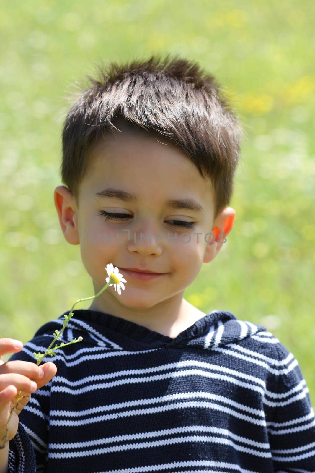 Male child smiling to a daisy in the field