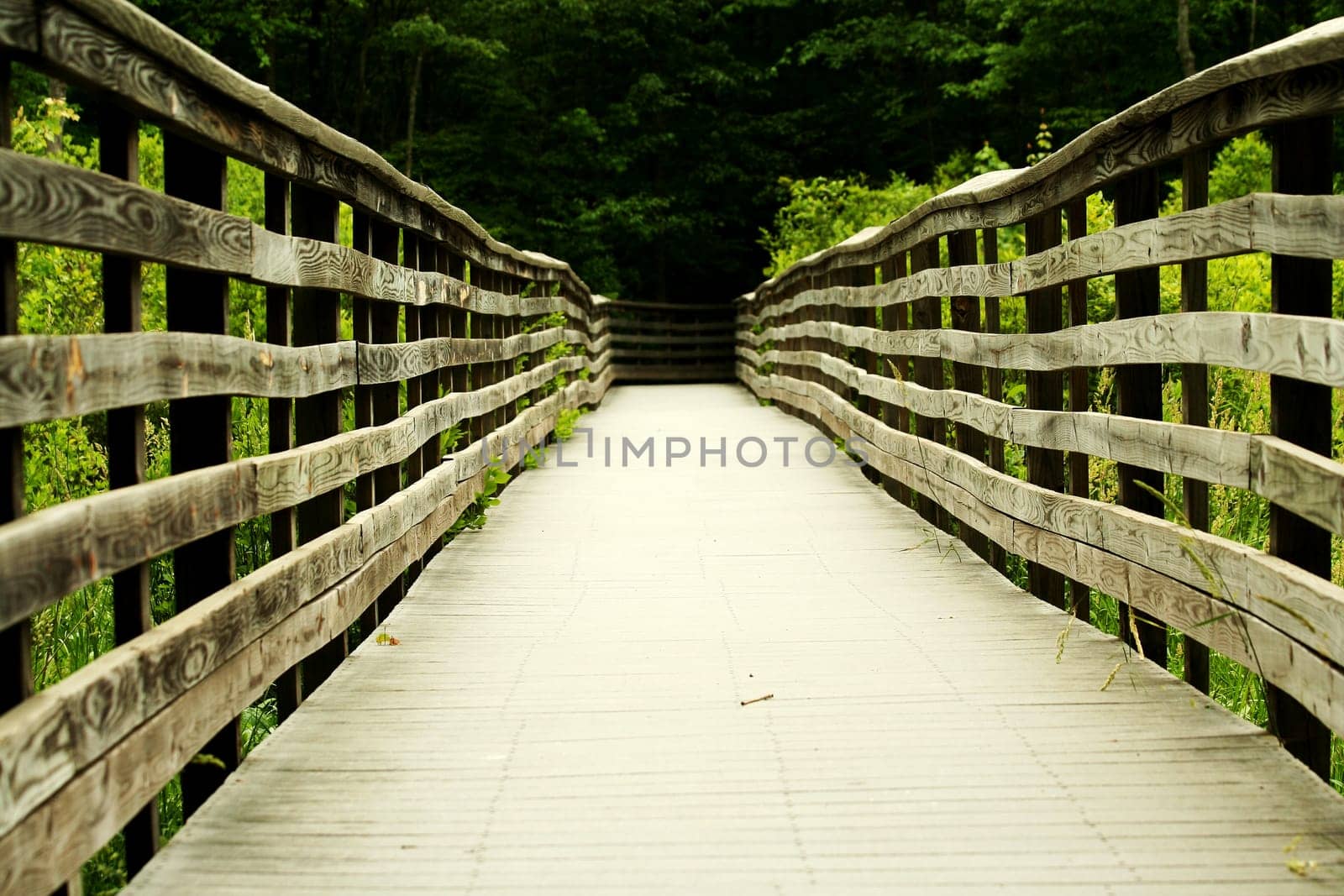 a Wooden bridge through the forest