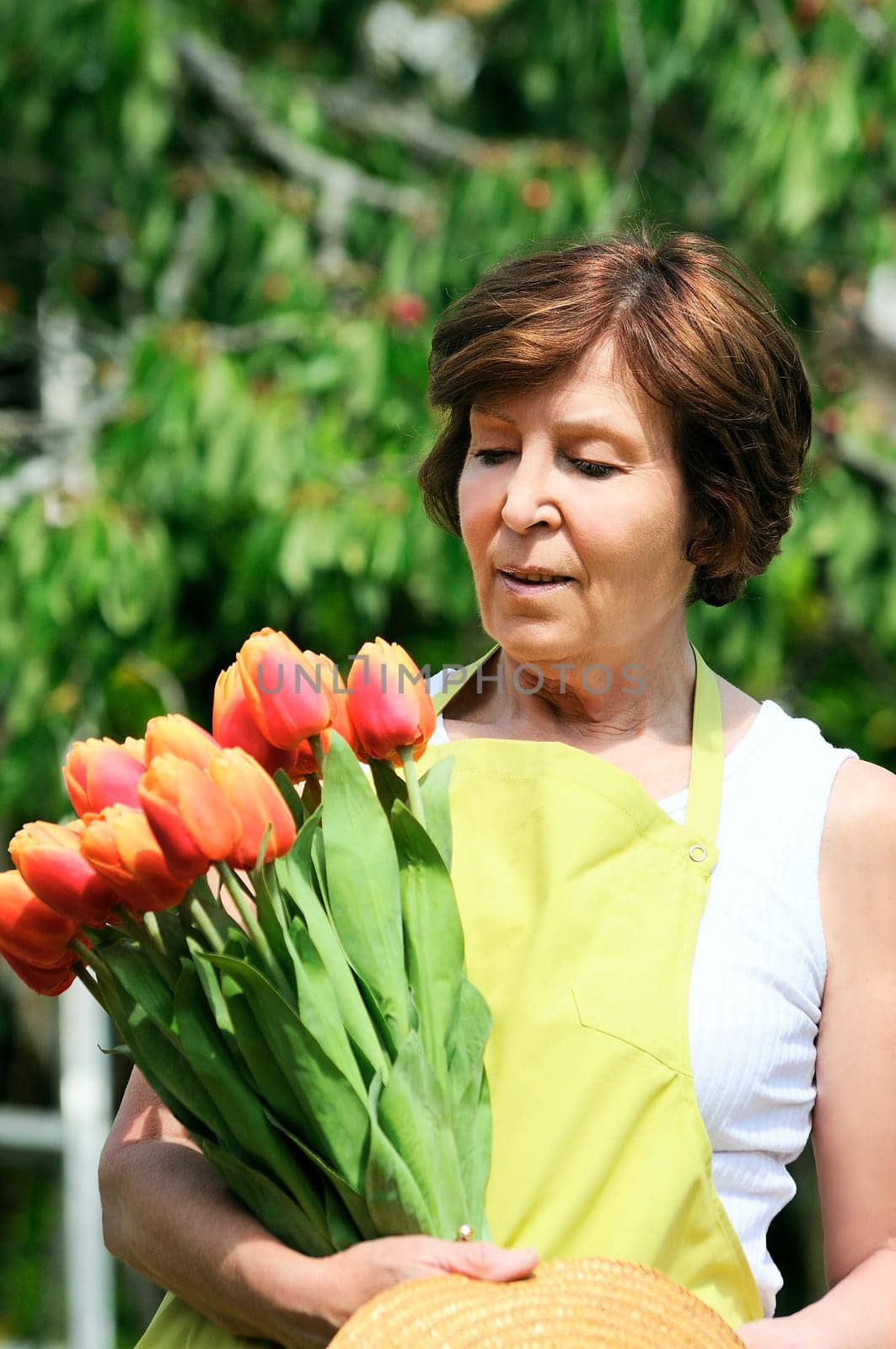 Senior woman holding gardening taking start-ups in his hands