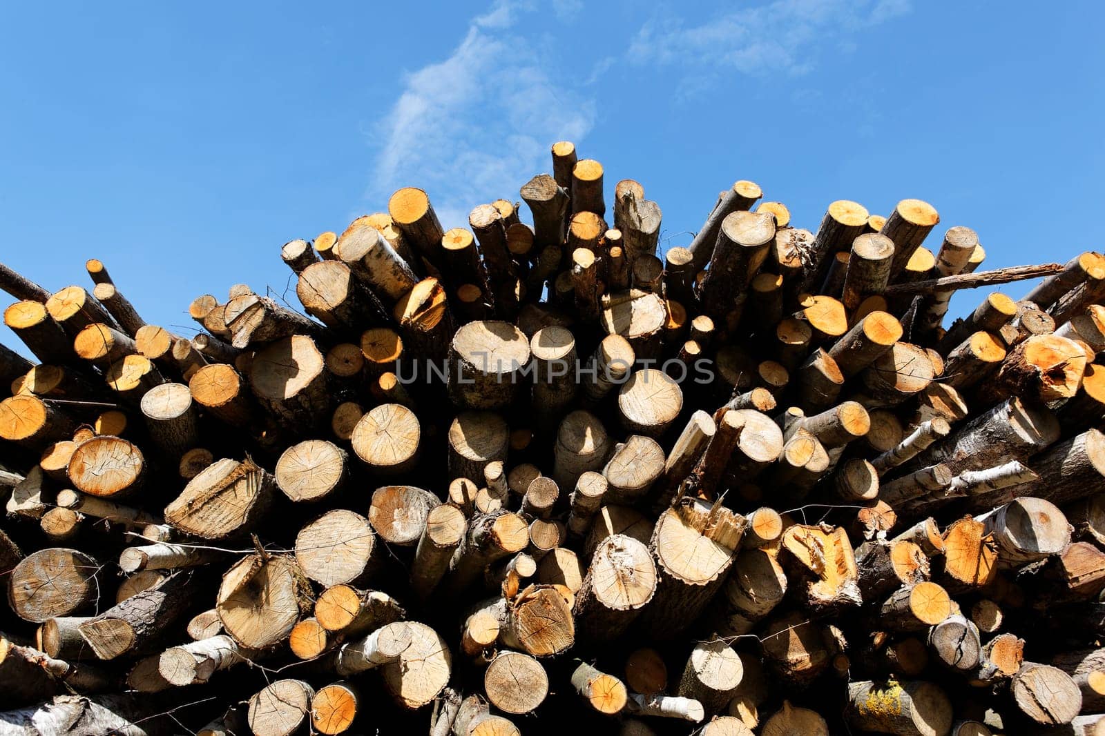 big woodpile and blue sky in spring