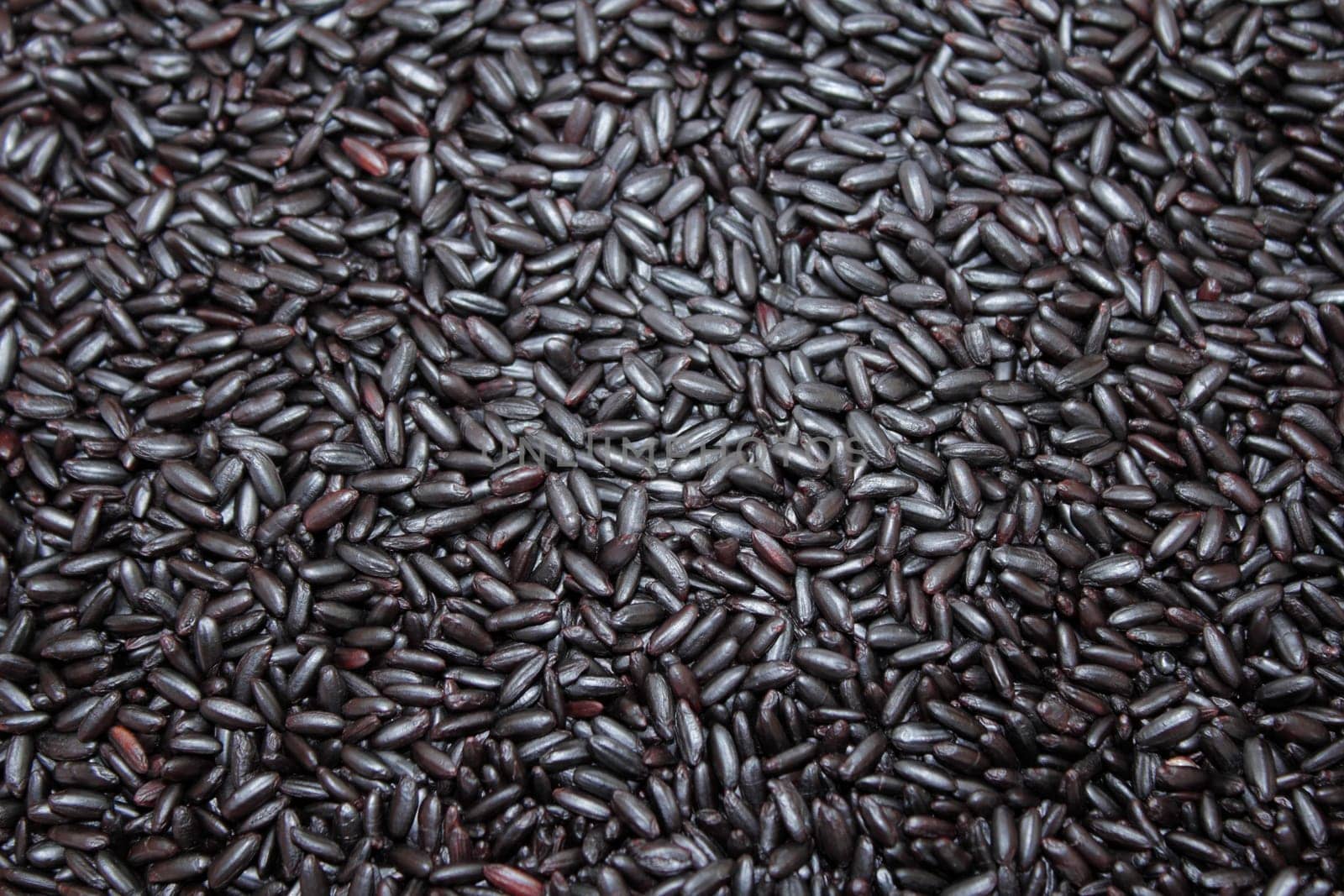 Close up background view of organic black purple rice.