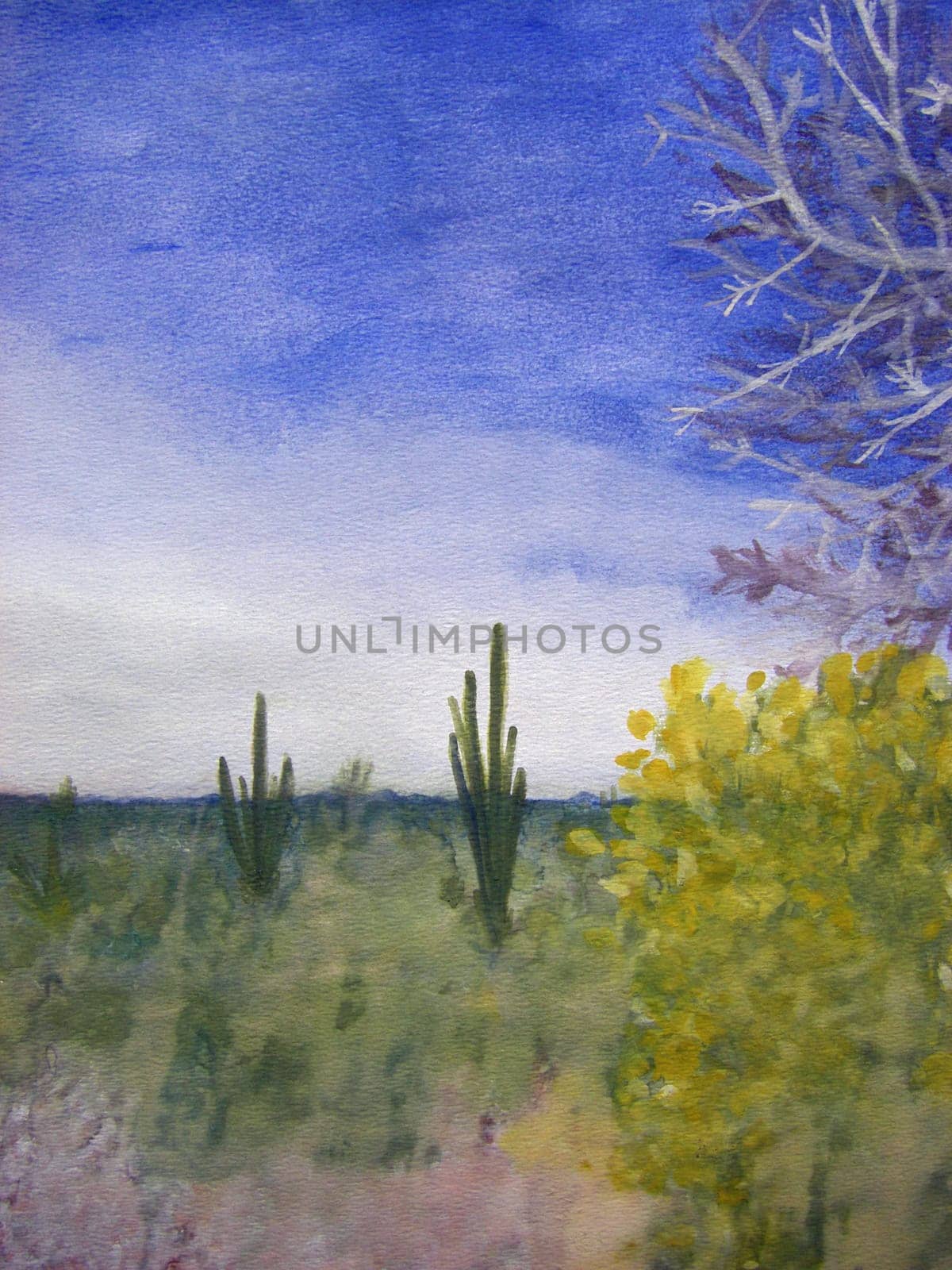 Natural, scenic, color landscape painting with lots of cacti, sagebrush, trees and other scenic plant life in a hot Arizona desert.