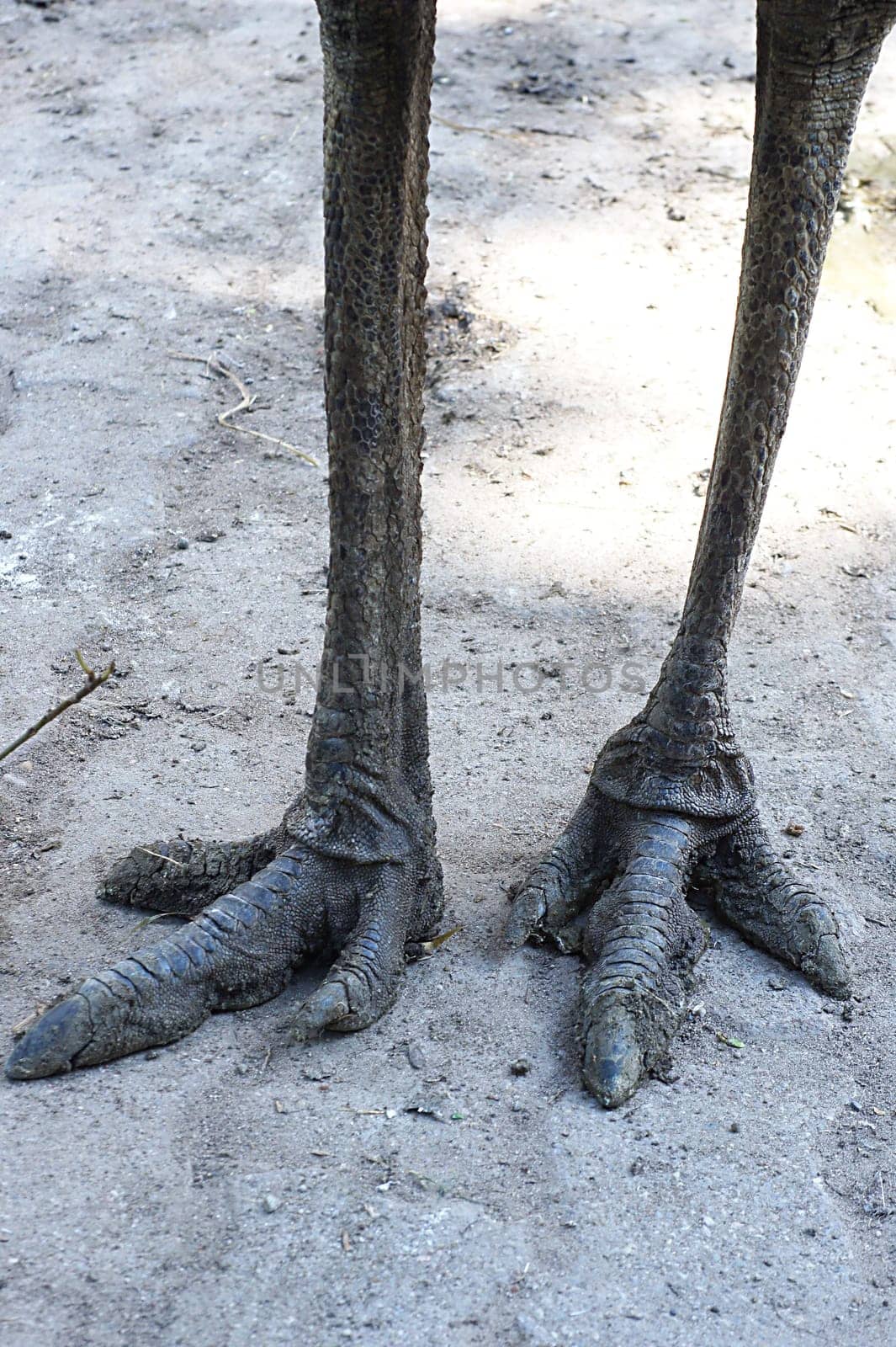please take care of your feet