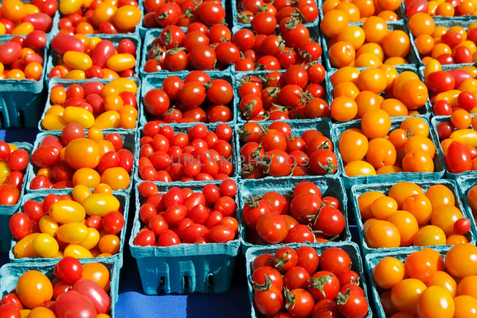 Many pints of small orange and red tomatoes in pint containers for sale at an outdoor market.