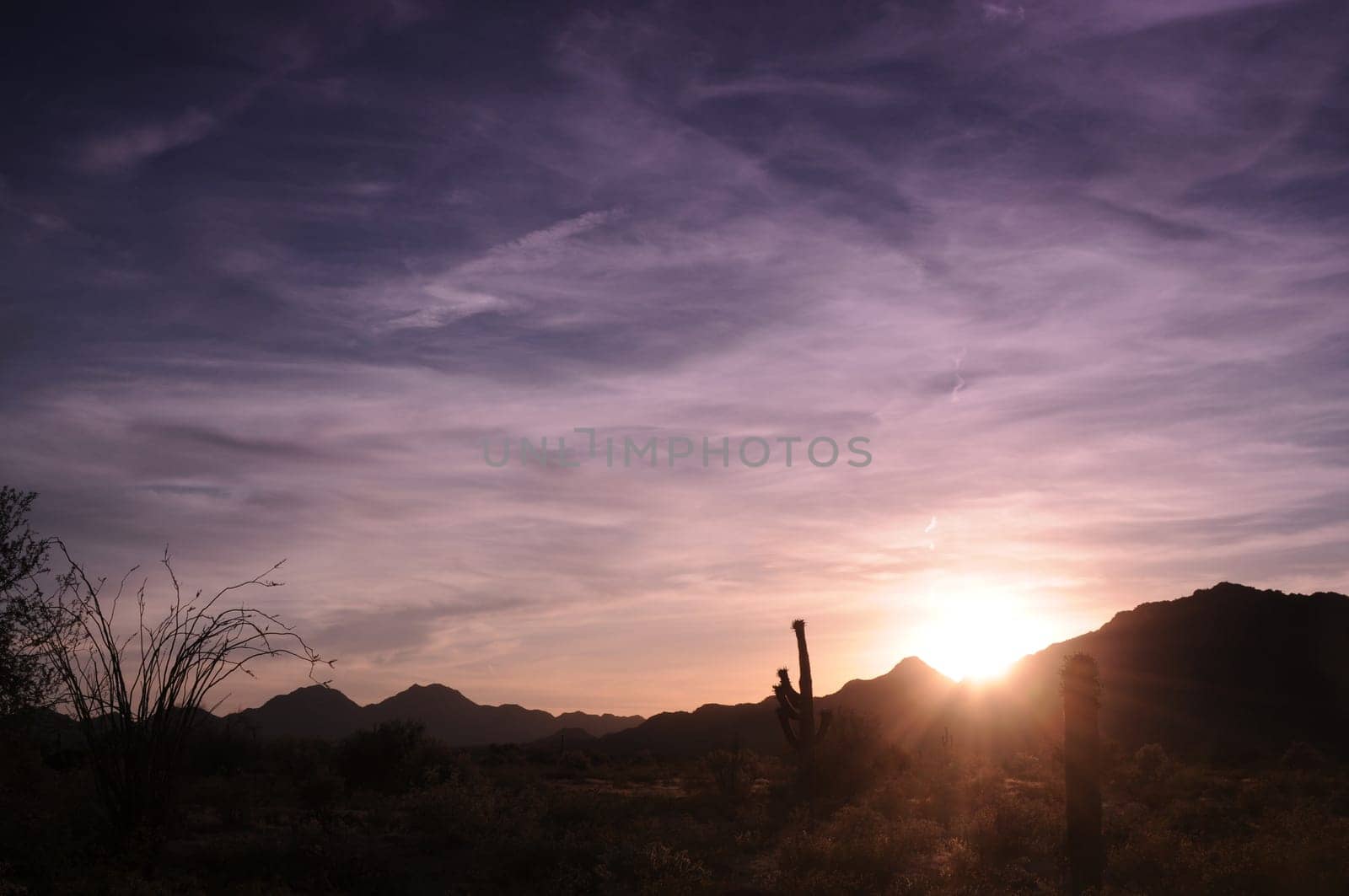 Cool sunrise in the central Arizona desert