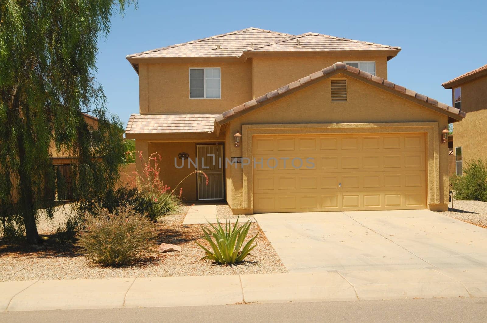 Brand new home in the American southwest desert