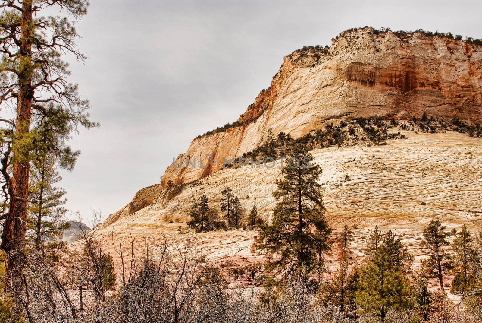 Zion national park southern Utah USA
