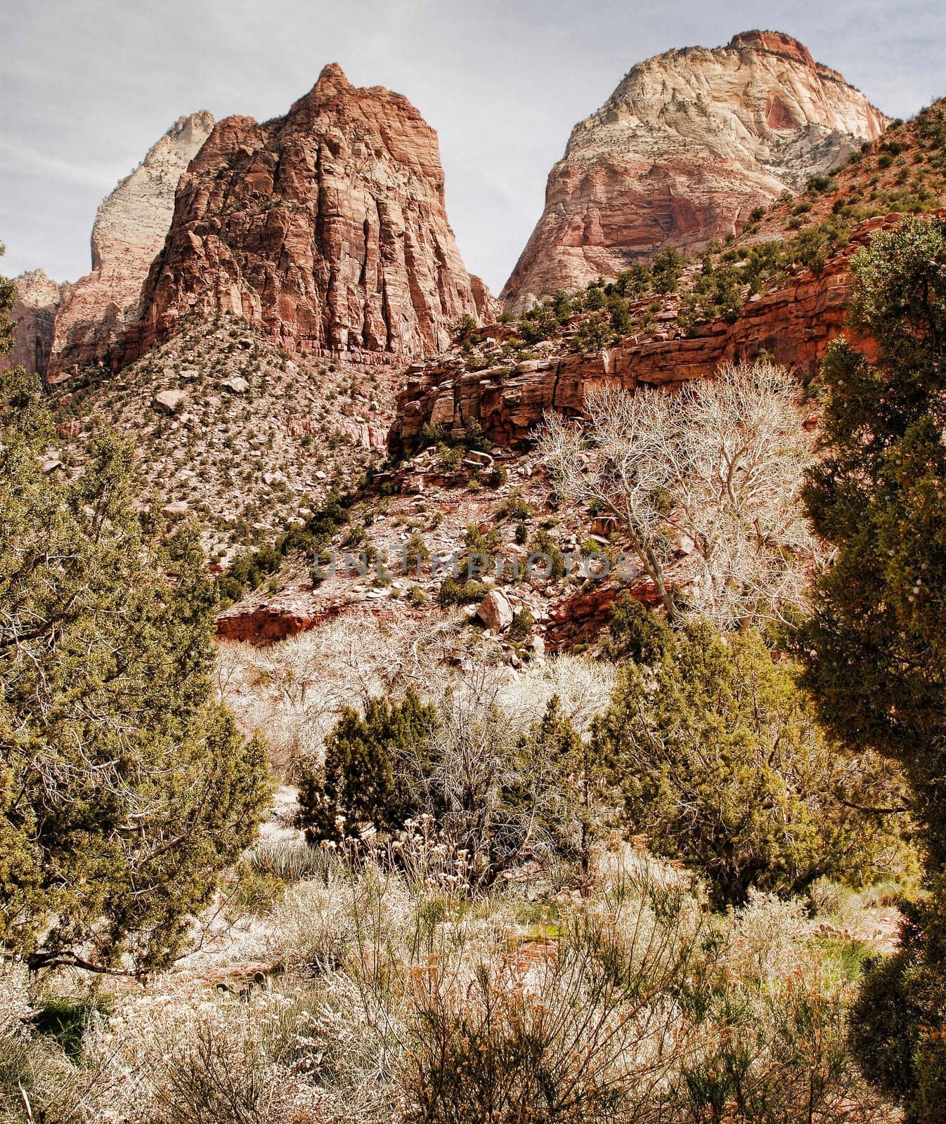 Zion National Park in southern Utah USA